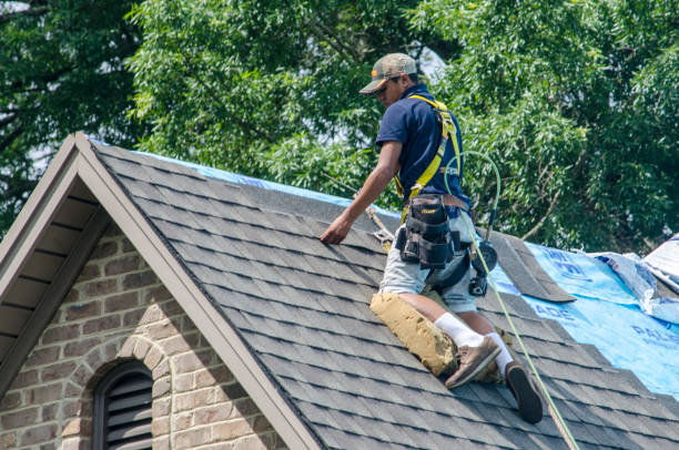 Best Commercial Roofing Services  in Camdenton, MO